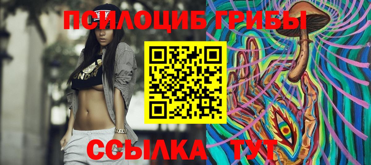 Псилоцибиновые грибы Psilocybe Вольск